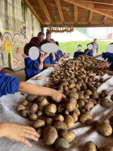 selezione delle patate