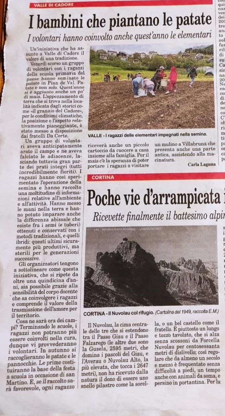 articolo giornale patate bambini